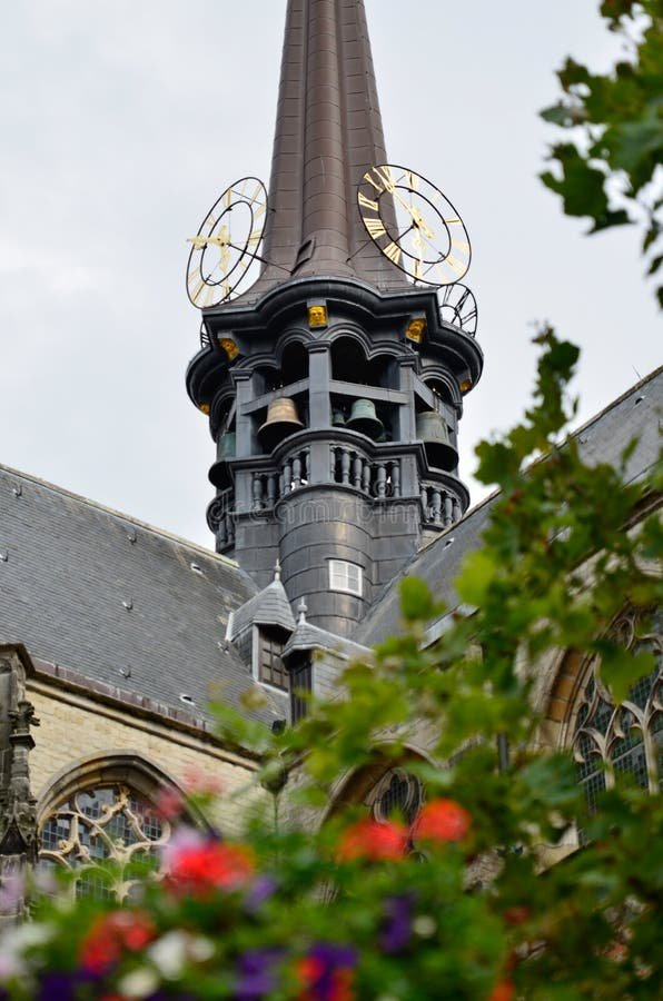 article-chicken Een Gezellige Tocht op de Kippenweg: Het Populaire Online Gokspel